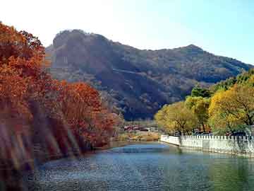 正版澳门天天开彩大全，山药专用肥